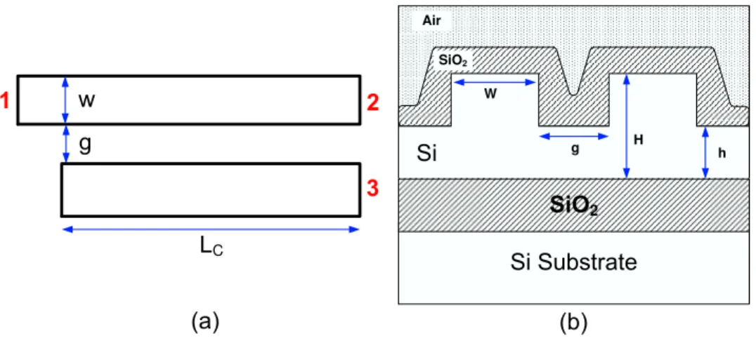 Figure 3.2: A schematic cross sectional view of coupling region of the designed directional coupler with critical dimensions.