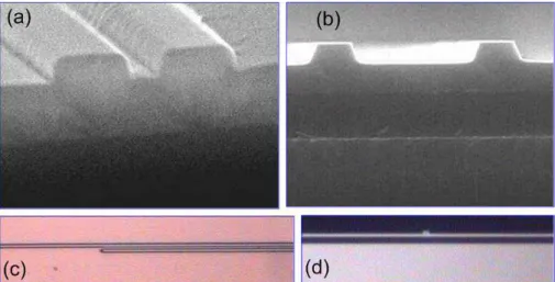Figure 3.5: Cross-sectional SEM micrographs of (a)coupling region and (b)output ports