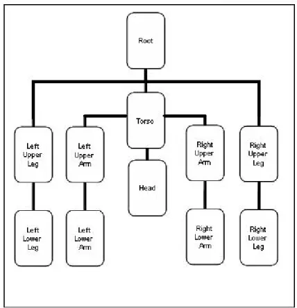 Figure 3.2: Human model tree.