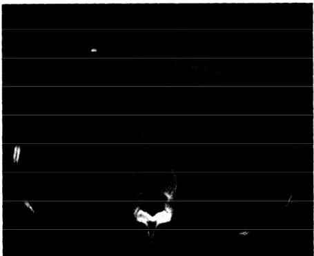 Fig.  2.  The  image  in  Fig.  1 after  I-type  coding  at  CR  =  10.55: 1 (0.95 bits/pel)