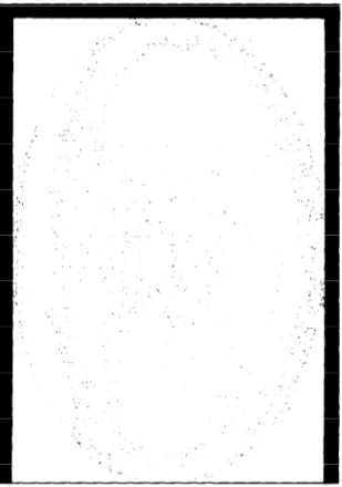 Fig.  5.  The  difference  image  (12 x [original  -  reconstructed])  for  P-type  coding  at  CR  =22.56  (0.44 bits/pel)