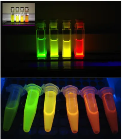 Figure 2.1.1.2. Color tunability of QDs with different sizes under ultraviolet light. 
