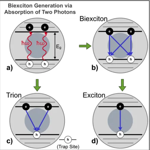 Figure 2.2.1.1. a) Biexciton generation in a QD via absorption of two photons with energies  ħω