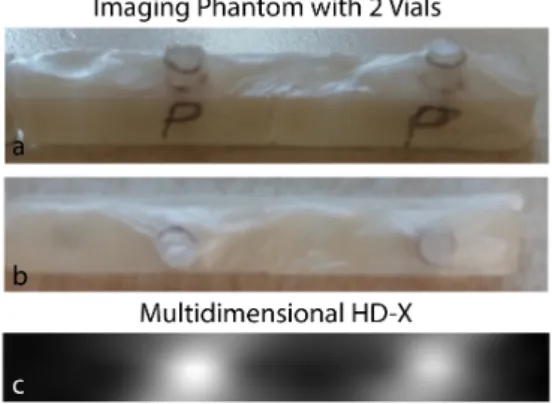 Figure 3: The imaging phantom and the imaging experiment result. (a) Side and (b) top views of the phantom