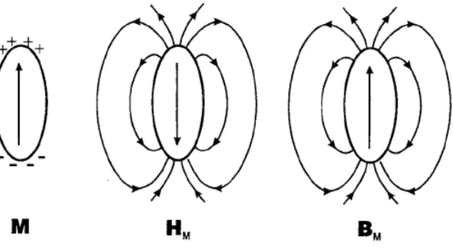 Figure 2.9: Magnetization, magnetostatic ﬁeld, and induction for uniformly mag- mag-netized ellipsoid [18].