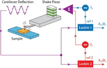 Figure 4.4: In multi-frequency imaging, the cantilever is both driven and mea- mea-sured at two (or more) frequencies of resonant ﬂextural modes