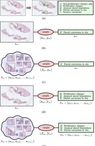 Fig. 4. Different learning scenarios in the context of whole slide breast histopathology