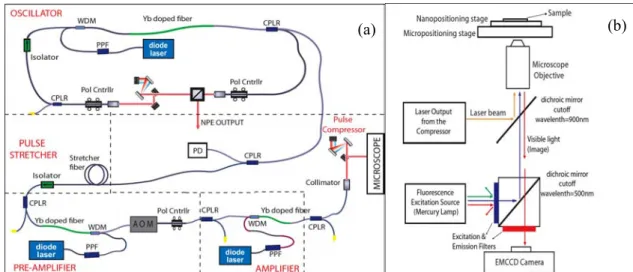Fig. 1. (a) Schematic of the Yb-doped fiber laser-amplifier setup. WDM: wavelength division multiplexing; CPLR: fiber coupler; PD: 