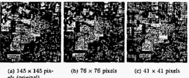 Fig.  I .   Wavelet  pyramid representarion for multiple resolutions. The bottom  image  is  at  the  original  resolution