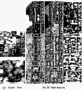 Fig  5.  Pixel  feature  examples  for  the  Indian  Pine  and  the DC  Mall  data  seu