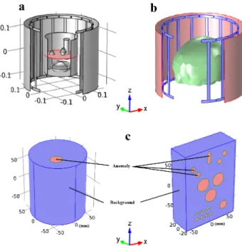 Figure 4.1: Birdcage coil simulation models: (a) loaded with the simple phantom (b) loaded with the head model