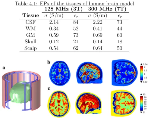Table 4.1: EPs of the tissues of human brain model 128 MHz (3T) 300 MHz (7T) Tissue σ (S/m)  r σ (S/m)  r CSF 2.14 84 2.22 73 WM 0.34 52 0.41 44 GM 0.59 73 0.69 60 Skull 0.12 21 0.14 18 Scalp 0.54 62 0.64 50