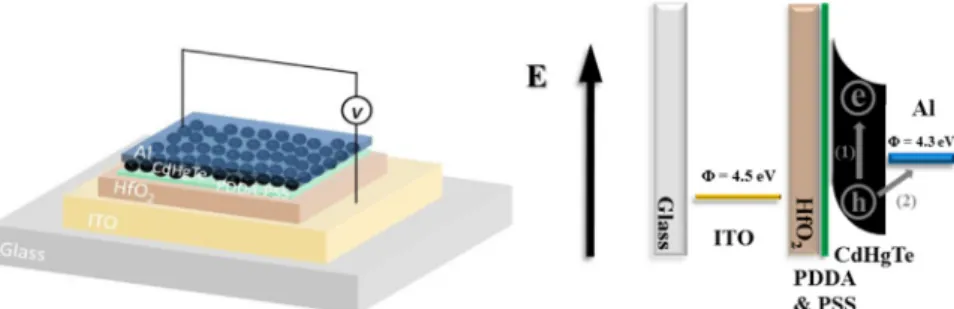Fig. 4. Voltage buildup behavior of PNS devices based on monolayer of CdHgTe NCs with MEG thresholds at around (a) 3.08 eV (E g ¼1.54 eV) and (b) 2.96 eV (E g ¼1.48 eV).