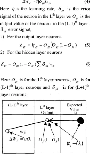 Figure 1.  Output layer neurons training  In  practice  a  coefficient  a i s   added  to  the  equation 4 in order to make faster convergence  