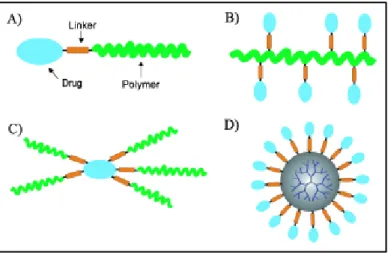 Figure  1.15.  Selected  structural  and  architectural  types  of  drug–polymer  conjugates