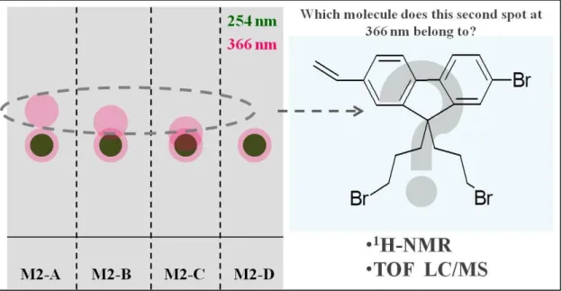 Figure  2.3.  Cartoon  representation  of    the  spots  on  TLC  plate  under  254  and  366  nm  UV light for four fractions (M2-A/B/C/D) of  9,9-bis-(3-bromo-propyl)-2,7-divinyl-9H-fluorene (M2)