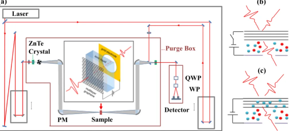 Fig. 1 (a) Terahertz setup and MLG structure (inset) consisting of MLG sandwiched between host (PVC or PE), electrolyte, and gold electrode
