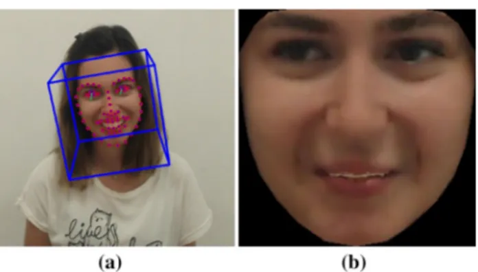 Fig. 1 a Visualization of the facial landmarks, gaze direction, and head pose obtained from OpenFace, and b the corresponding normalized face