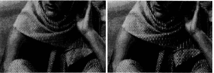 Figure 6: Detail results for downsampling with 4x4 IDCT and zonal filtering