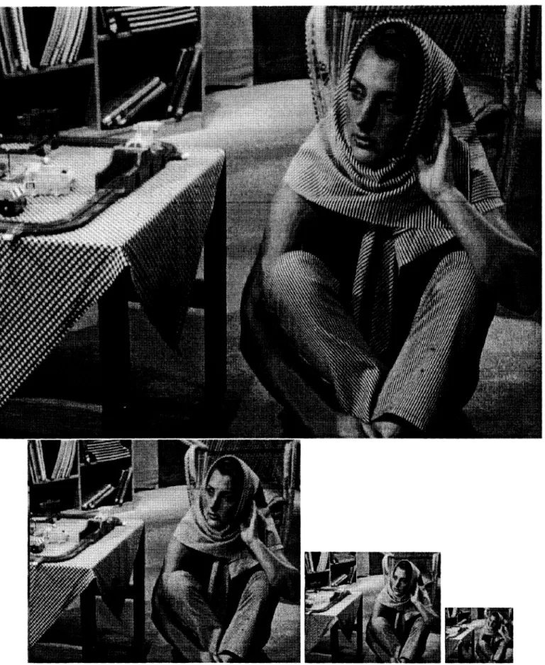 Figure 7: Test images decoded at 4 different resolutions
