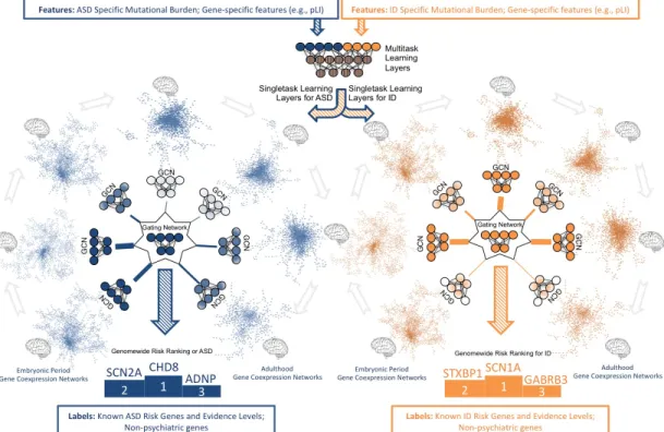 Figure 4.1: System model of the proposed deep learning architecture for genome- genome-wide cross-disorder risk assessment (DeepND)
