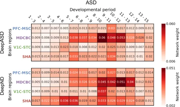 Figure 5.7: Heapmap shows average weights assigned by MoE module of Deep- Deep-ASD (top) and DeepND (bottom) to each spatio-temporal window for the top percentile genes for ASD.