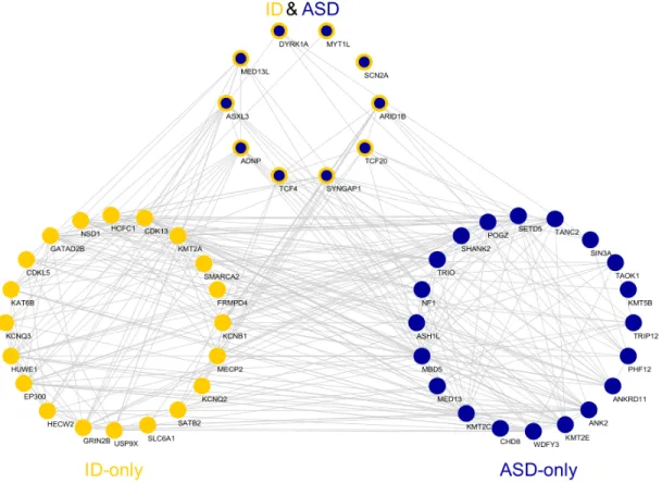 Figure 5.9: The summary of co-expression relationship between top percentile genes in each disorder on MDCBC2-4 network which is observed to be the weakest source of information