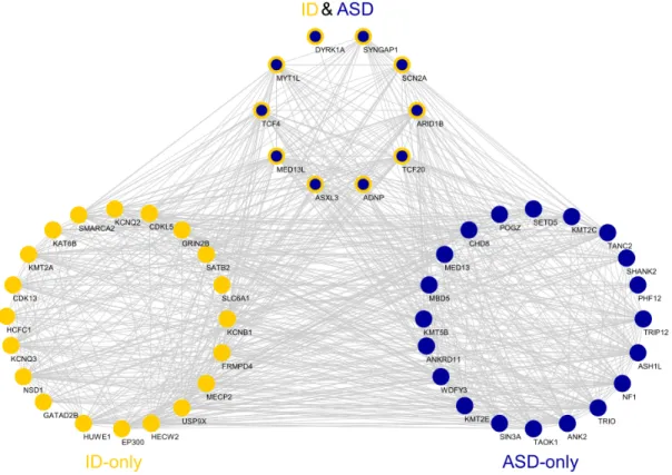 Figure 5.10: The summary of co-expression relationship between top percentile genes in each disorder on MDCBC9-11 network