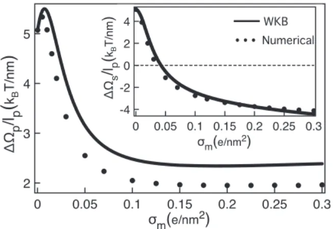 FIG. 2. Thermodynamic limit l p → ∞ of the total grand potential ∆Ω p (main plot) and the polymer self-energy ∆Ω s (inset) versus membrane charge σ m in a monovalent solution of bulk density ρ b = 0.01 M