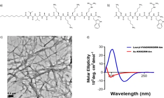 Figure 2. Minimum inhibitory concentrations of both peptides (a). Time-kill assay of bacteria by peptides (b)
