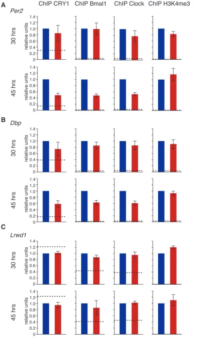 Figure 7. CRY1 D11 Affects the Occupancy of CRY1, Bmal1, and Clock at Target Gene Promoters