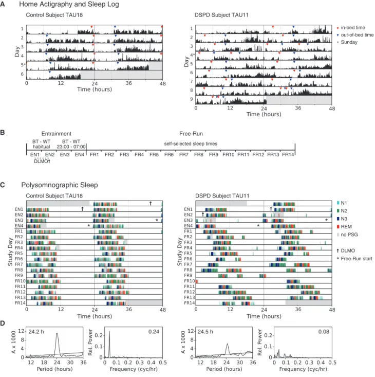 Figure 1. Circadian Behavior of Control Subject ‘‘TAU18’’ and the DSPD proband ‘‘TAU11’’