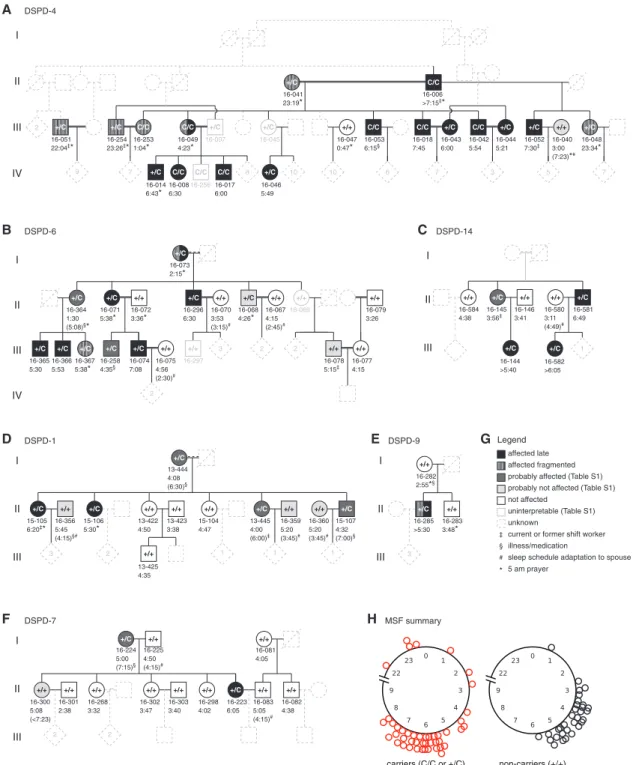 Figure 5. Sleep Behavior in CRY1 c.1657+3A&gt;C Carrier Families of Turkish Descent