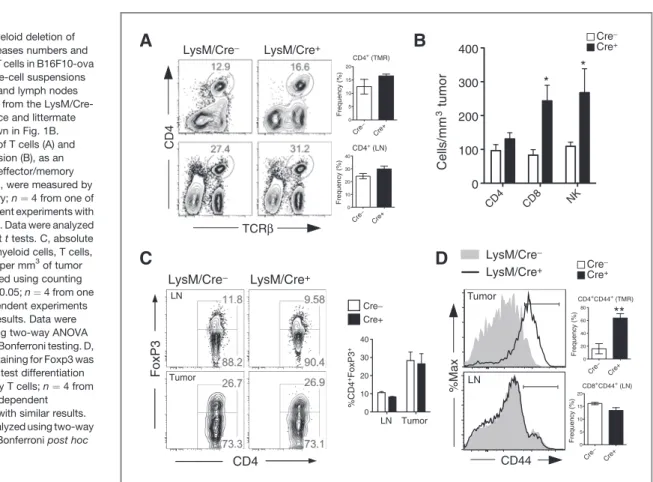 Figure 5. Myeloid deletion of Adora2a increases numbers and activation of T cells in B16F10-ova tumors