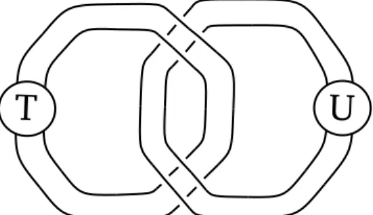 Figure 5.5: 2-parallel of Hopf link with two tangles