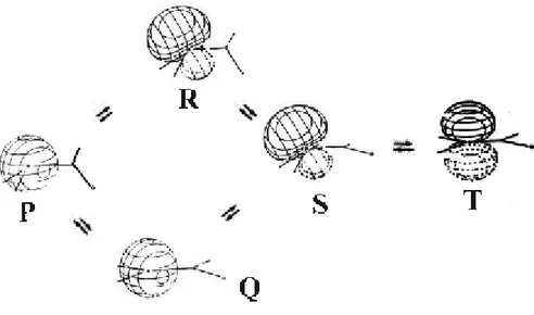 Figure 1: Proposed path for the internal rotation and rehybridization of the amide                  bonds 