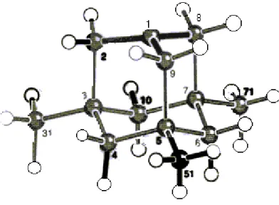 Figure 10 : Crystal structure of  40 