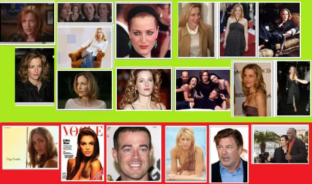 Figure 3.11: Face images collected for the extracted name “Gillian Anderson”.