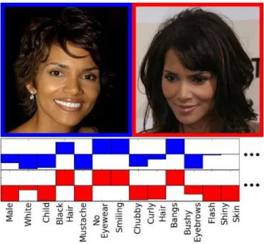 Figure 4.2: Attribute Classifiers agreement despite the differences in pose, illu- illu-mination, etc