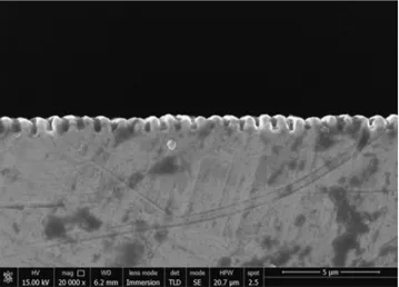 Fig. 4a displays nanostructures obtained in SS ? conditions, in which ripples orientation is perpendicular to the sliding direction.