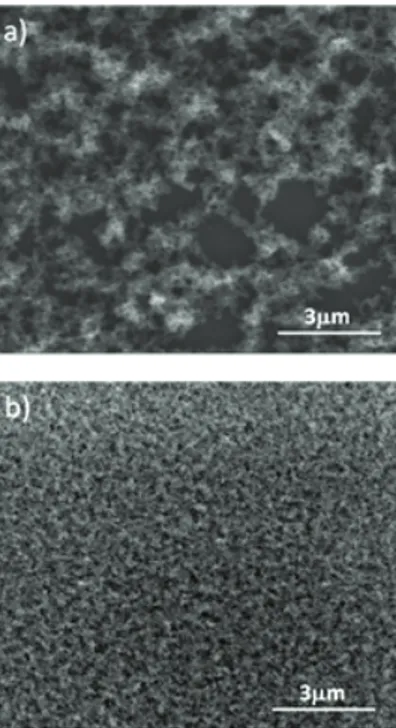 Figure 1: SEM images of ormosil thin films prepared by  using gels synthesized in different solvents (a) methanol,  (b) DMSO.