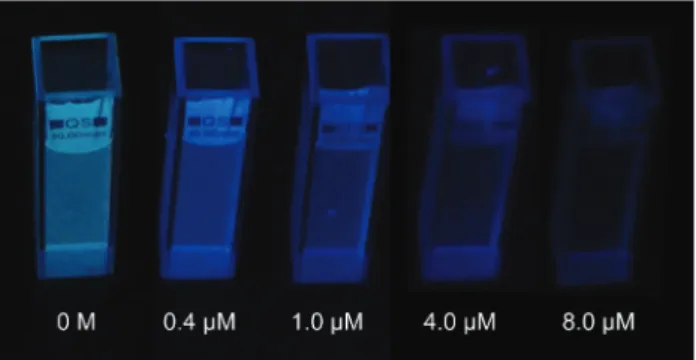 Fig. 7 Optical photographs of pMSN dispersions under UV-light before and after the addition of 0.4 µM, 1.0 µM, 4.0 µM, and 8.0 µM of TNT.
