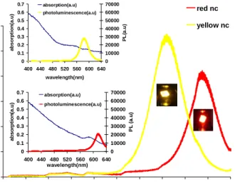 Fig. 2. Photoluminescence spectra of our red and yellow nanocrystals (NC). Insets show the  absorption spectrum along with the photoluminescence spectrum of the respective nanocrystal