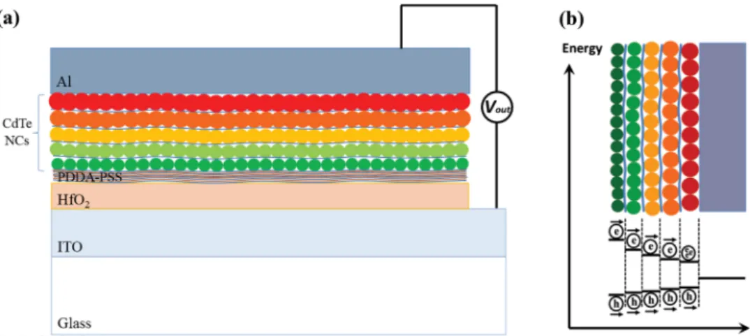 Figure   1  a shows a schematic drawing of the closely  packed NC monolayers. Because of the considerable change  in the NC surface coverage as the number of polyelectrolyte  bilayers changes,  [ 14 ]   we found that four bilayers of  PDDA-PSS were necessa