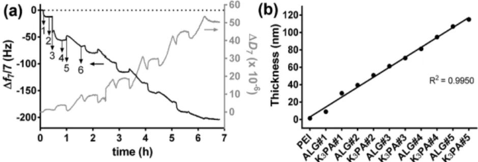 Figure  2a depicts the normalized frequency ( Δf n /n) and  dissipation factor (ΔD n ) changes obtained at the 7th overtone  (n = 7; 35 MHz) during the construction of five bilayers of ALG/