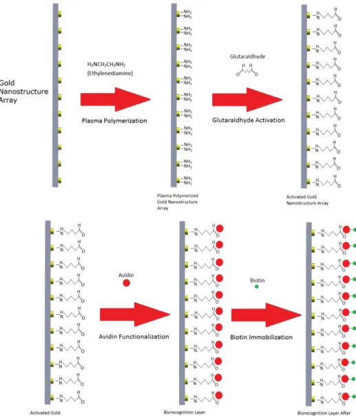 Fig. 1 Surface modification process.