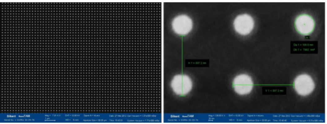 Fig. 2 SEM images of the gold nanostructures fabricated by electron beam lithography.