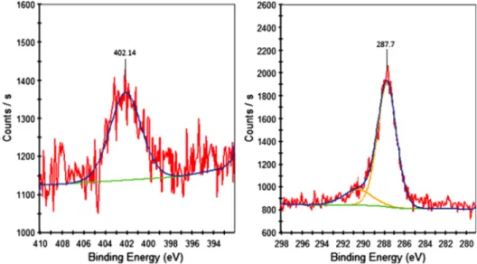 Fig. 6 C1s and N 1s spectra of Plzp-EDA modified gold nanostructure surfaces by using plasma parameters of 30 W, 30 min.