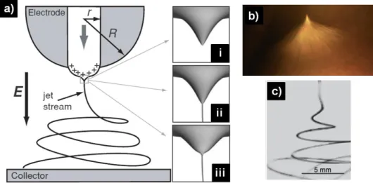 Figure  2  (a)  Schematic  representation  of  an  electrospinning  apparatus  (r,  radius of the capillary; R, curvature radius of the electrode used) and Taylor  cones