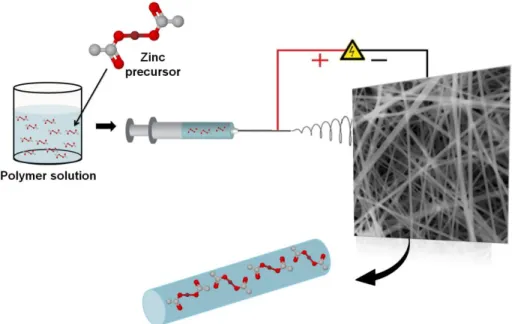 Figure  12  Schematic  view  of  electrospun  PVP  nanofibers  containing  zinc  acetate  by  applied  voltage  =  15  kV,  feed  rate  =  0.5  ml/h,  tip-to-collector  distance = 13 cm